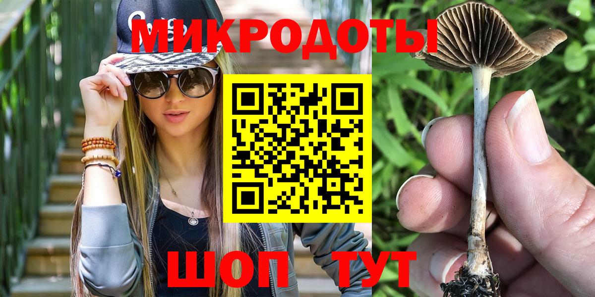 Галлюциногенные грибы Psilocybe Озёрск
