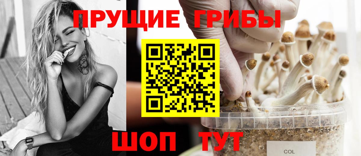 Псилоцибиновые грибы Psilocybine cubensis  Галлюциногенные грибы мицелий  купить наркоту  Вход с VPN  Озёрск 