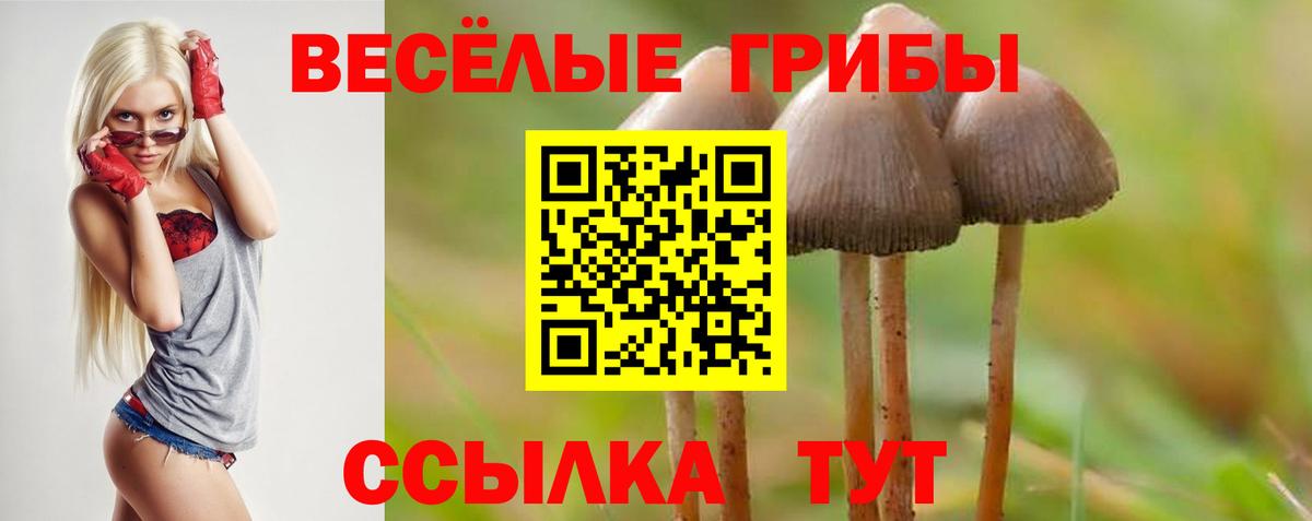 A PVP СОЛЬ кристаллы  Кокаин  МЕТАМФЕТАМИН  Вход с VPN  Озёрск  ГАШ  Мефедрон   Канабис 